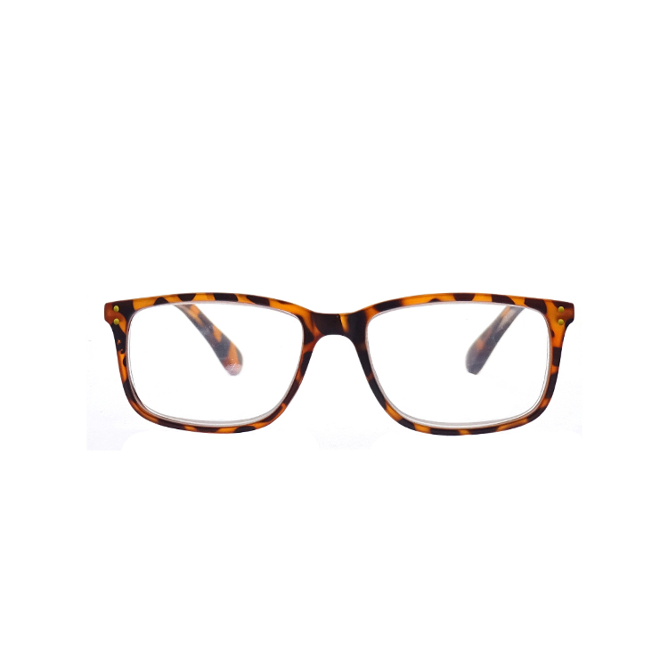 Rectangular frame different styles of colorful plastic reading glasses for women LR-P6273