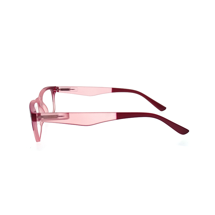 Reading Glasses Standard Fit Spring Hinge Customized Logo Plastic Reading Glasses LR-P6612